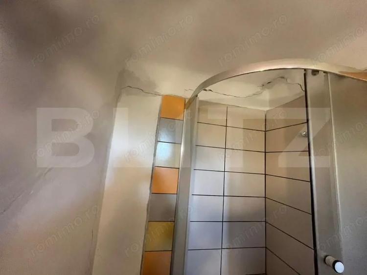 Casa tradi?ionala cu teren 4.500 mp ?i anexe gospodare?ti Sat bolovani - 4