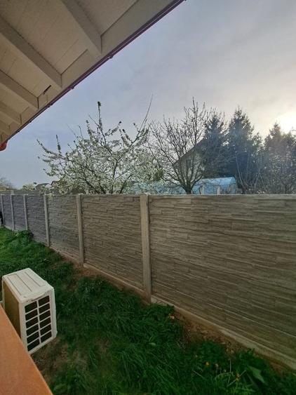 Parta(inainte de pod, zona Munteni),  la 10km de Timisoara - 13