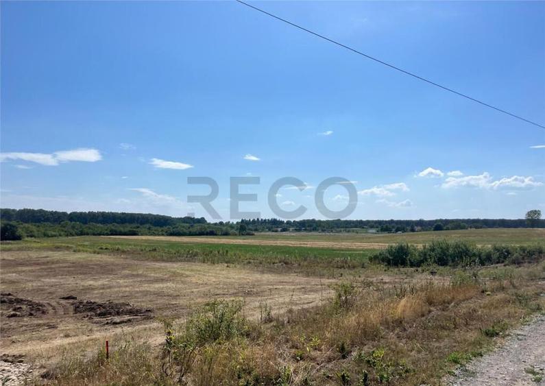 RECO Teren intravilan pentru casa- Les cu PUZ aprobat - 6