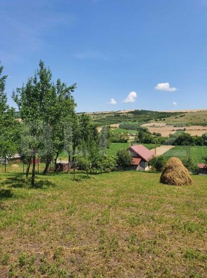 Proprietate traditionala cu 2040 mp teren - 6