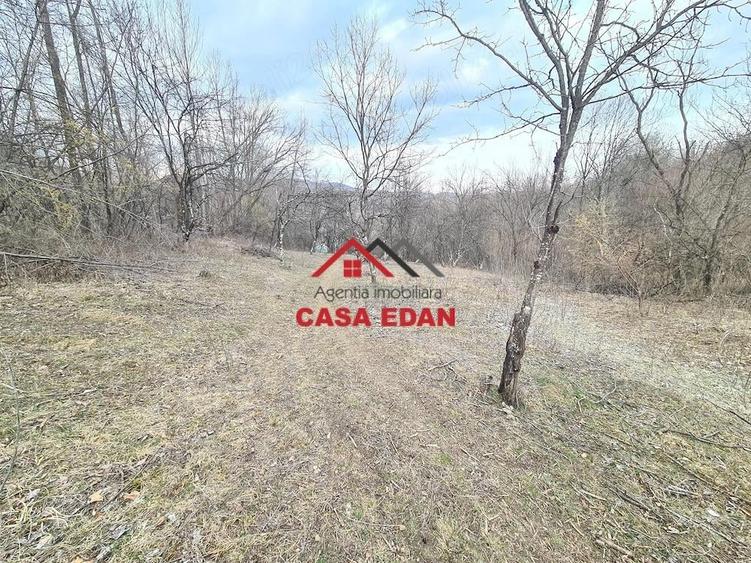 Teren extravilan in Provita--3448mp-12.000e - 5