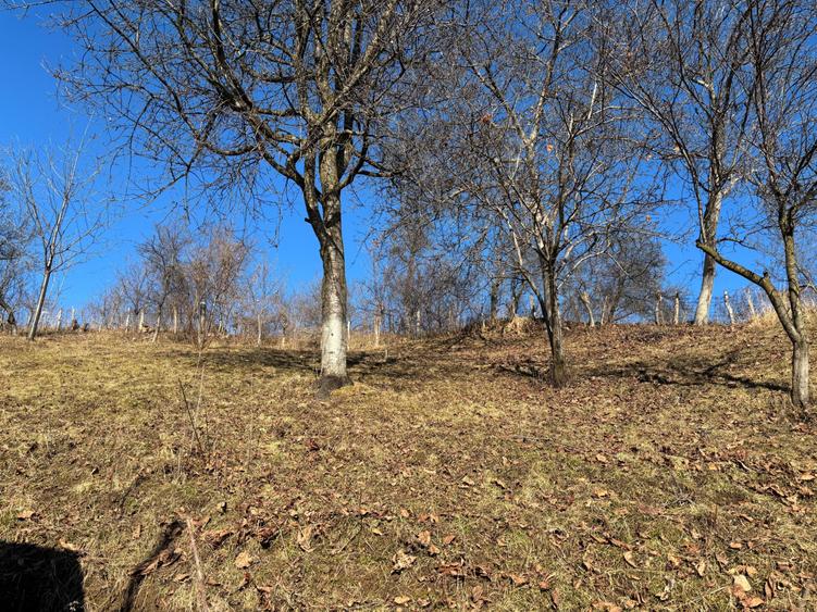 Casa gospodarului, bine întreținută, cu teren generos – Comarnic - 13