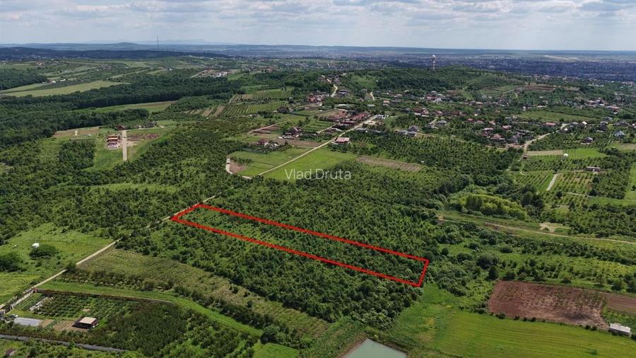 Teren Construcții intravilan de 5305 mp, în Paleu