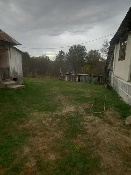 Vand casa batraneasca - 4