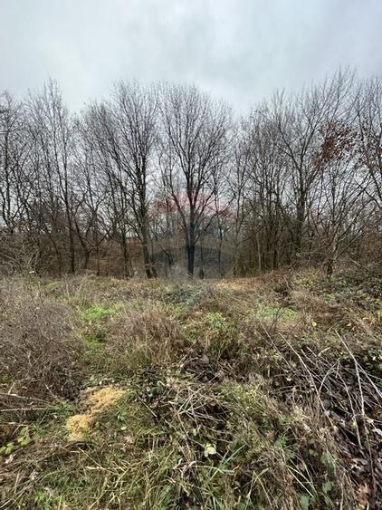 Teren 1,200mp si 400m2 cota drum Satu Nou de Jos / Strada Principala - 8