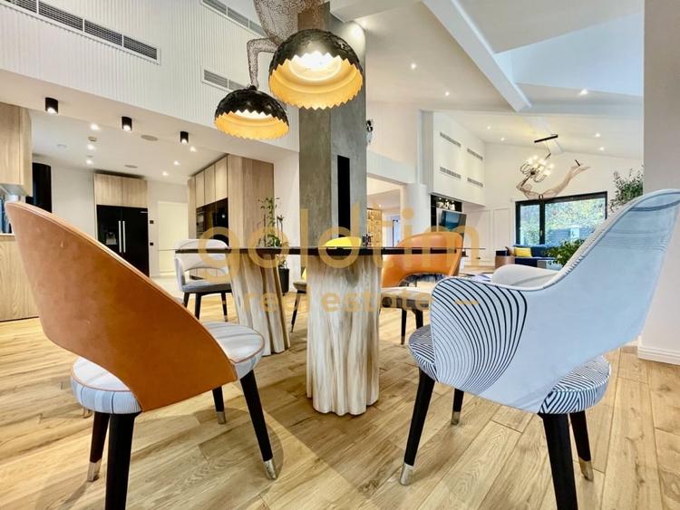 UNICA/ABSOLUT SUPERBA/ VILA INDIVIDUALA/IANCU NICOLAE/CURTE GENEROASA - 27