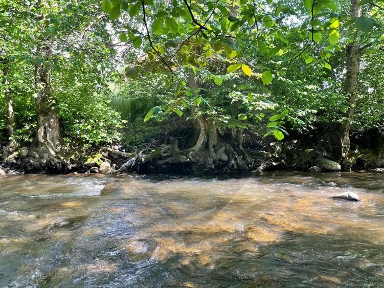 Teren 2,932mp Sarbi (Budesti) / Drumul Principal - 5