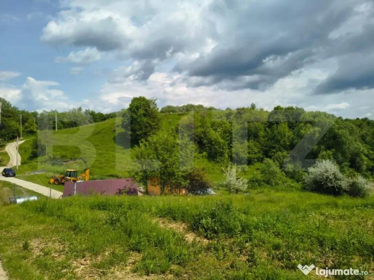 TEREN ideal CASA VACANTA,CASA LOCUIT ,ZONA SUBCARPATICA Vale - 4