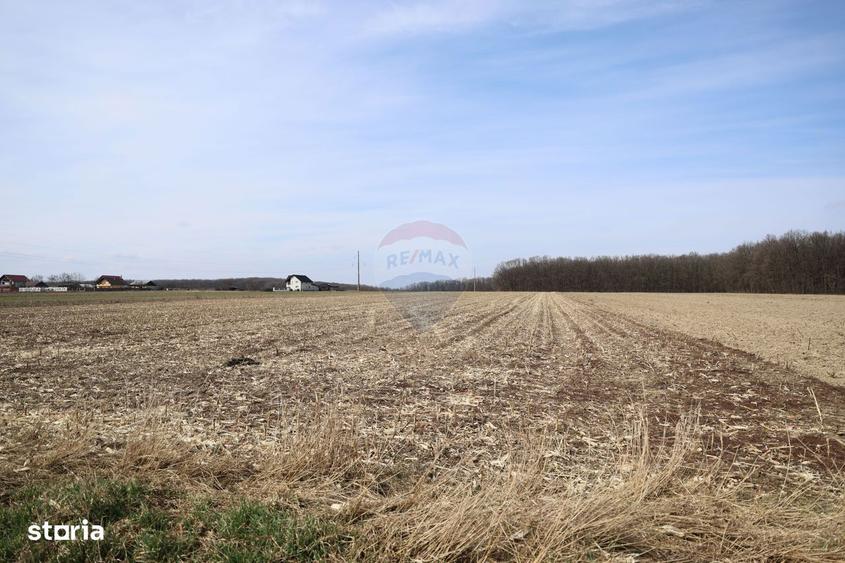 Teren 9,740mp Suceava / Strada Principala - 7