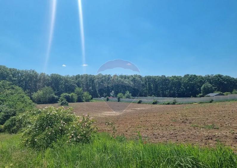 Teren 872,43 mp Snagov - 4