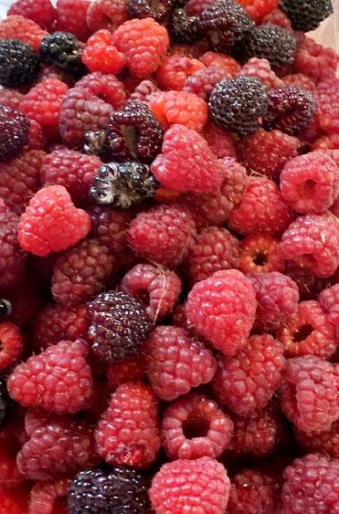 Proprietate com.Girov,compusa din casa, anexe si 8800 mp teren - 23