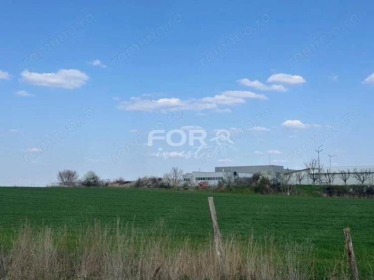 Teren intravilan de vanzare 1000 mp zona Aeroport Oradea - 5