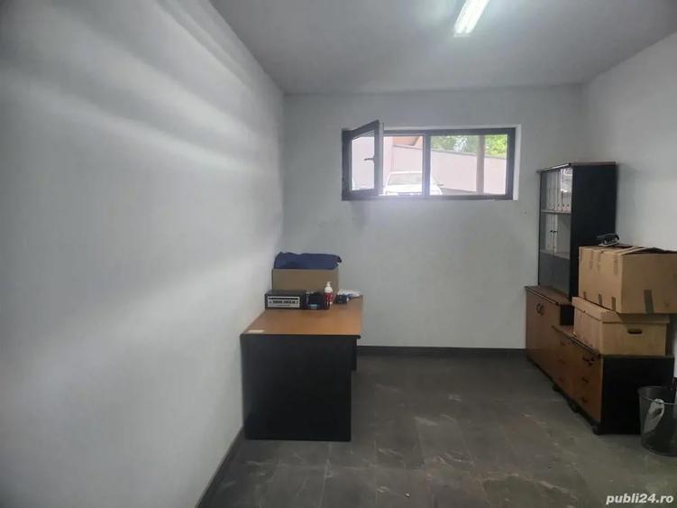 Demisol de vanzare - 6