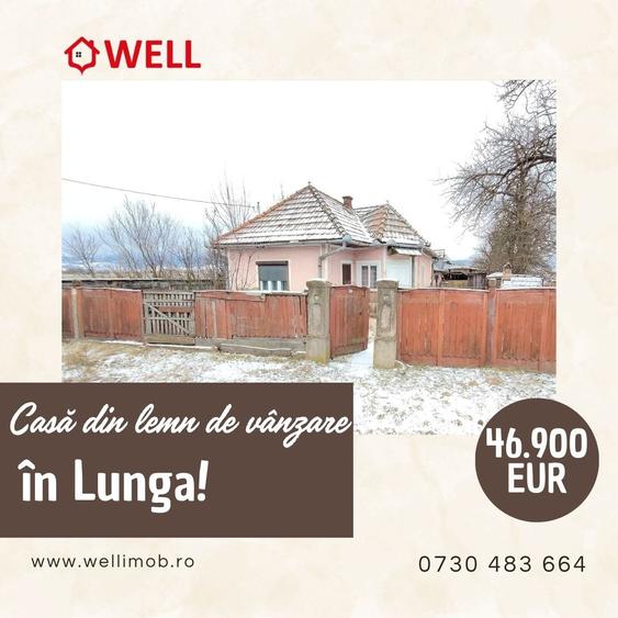 Casă din lemn de vânzare în Lunga, la drumul principal! - 1