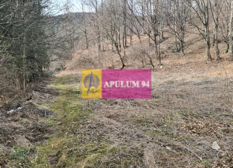 Teren de v&acirc;nzare &icirc;n Sinaia - Platou Izvor - 2