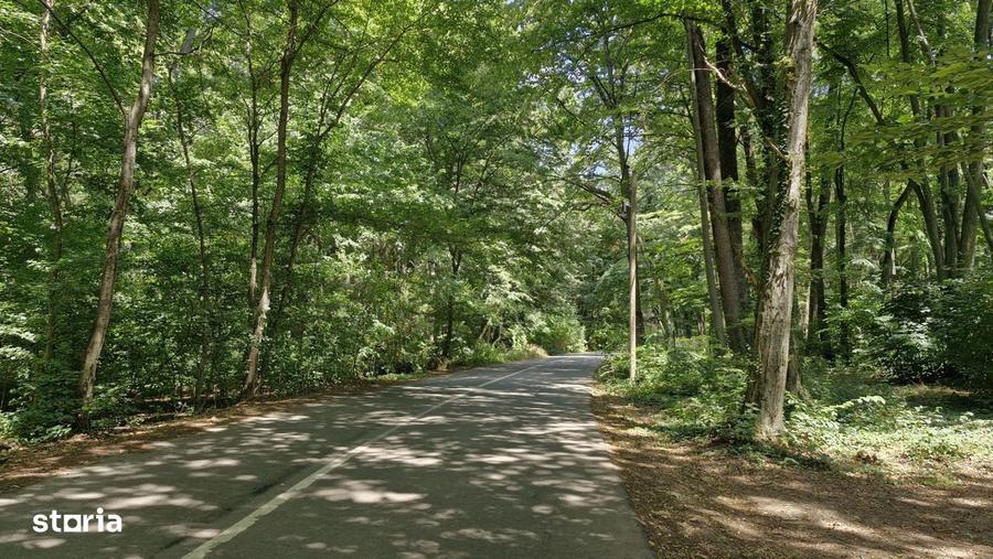 Teren intravilan | Snagov | Izvorani | 2800mp | Stradal - 4