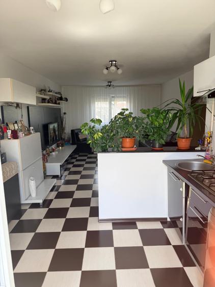 Casa P+M Cumpana - 3