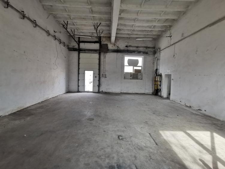 Iosefin Depozit 175 mp 875 euro +TVA - 4