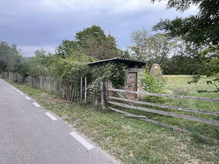 Teren intravilan 2.500 mp Buciumeni, Dambovita - 7