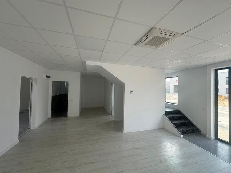 Hală 600mp incinta TBM Park - 3