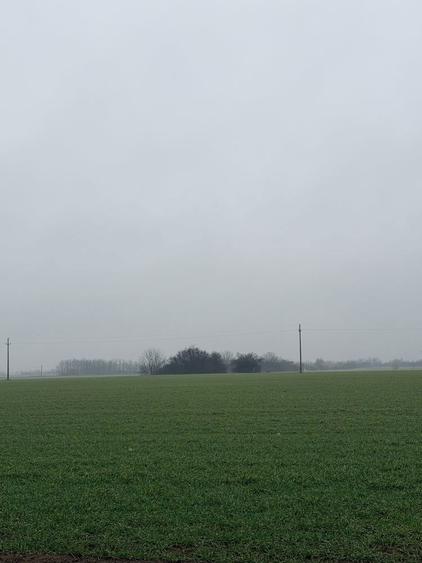 Teren Extravilan - 2