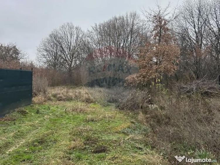 Teren 1,200mp si 400m2 cota drum Satu Nou de Jos / Strada... - 3