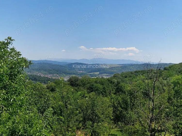 Teren 6926 mp de vanzare in Valea Danului jud Arges