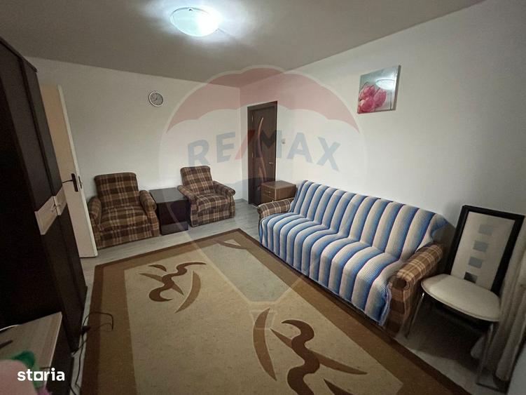 Apartament Brazda la 2 minute de Baba Novac - 1