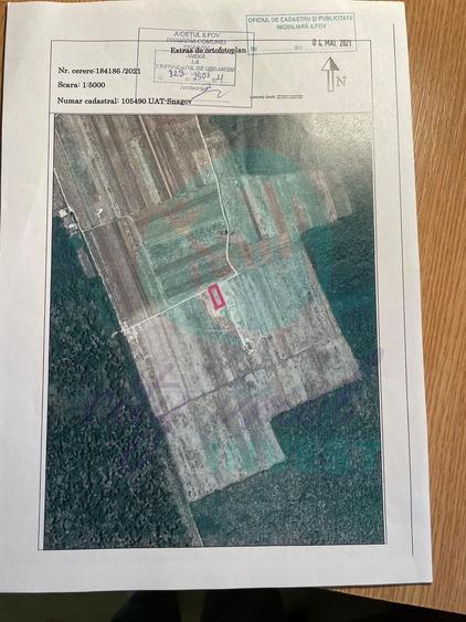 Vanzare teren constructie casa CIOFLICENI - SNAGOV - 2