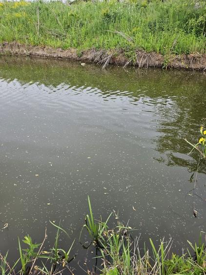 Snagov, Ghermanesti DJ101b - 2