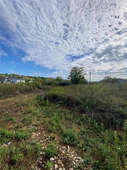 RECO Teren intravilan Paleu 647mp cu Utilitati inclusiv Gaz - 4