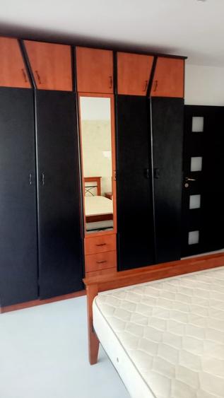 Lacul Tei, Maica Domnului, Domino, Parcul Circului, stradal - 9