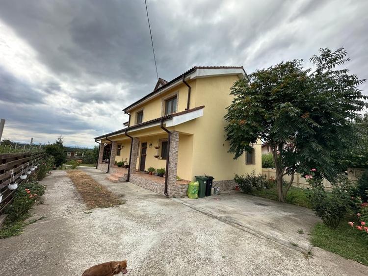 Casă spațioasă în Vânători, 5 camere, teren 1070 mp, livadă - 8