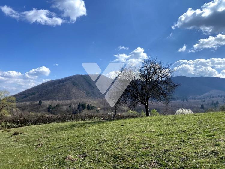 Teren Extravilan de 6630 mp - Cisnadioara - 2