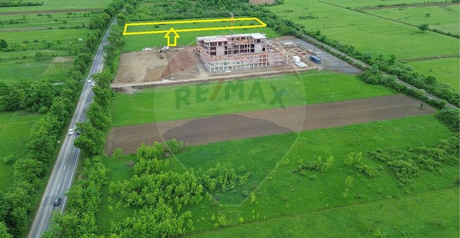 Teren 4,000mp Cicarlau / Strada Principala intravilan - 4