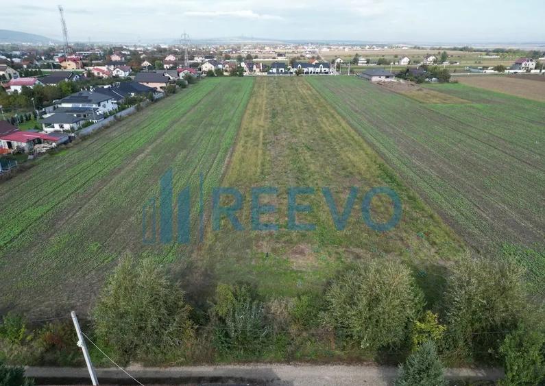 Teren intravilan Bogdan Voda - 6