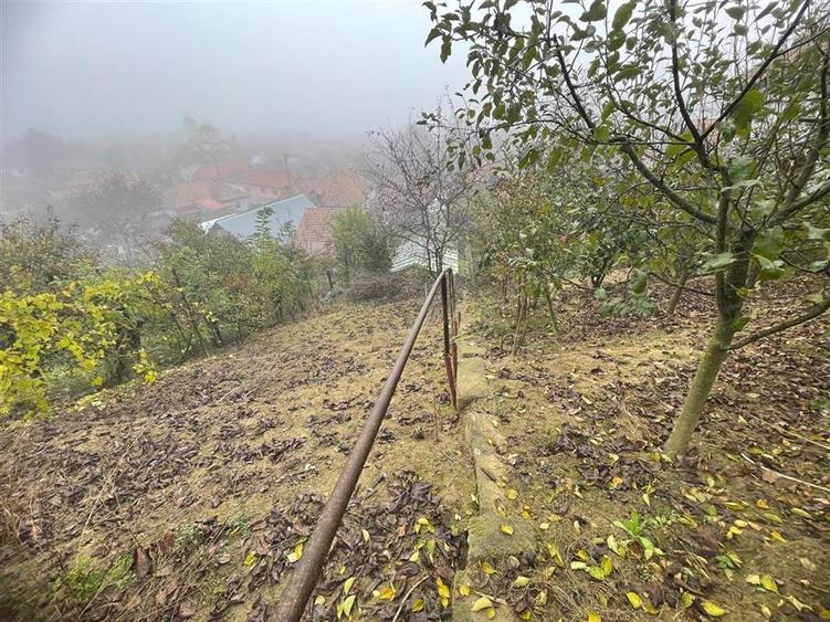 Casa individuala cu 6 camere si 3 bai si 1413 mp teren in Blaj - 4