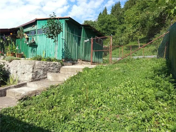 Anina, Casa, 4 Camere, P+M, 160MP Teren, Pret Negociabil - 10