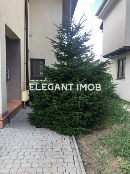 Vila spatioasa in Paradisul Verde - 19