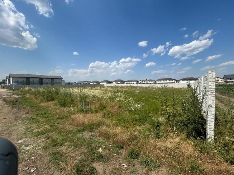 Teren de vanzare  Bragadiru Ilfov - 6