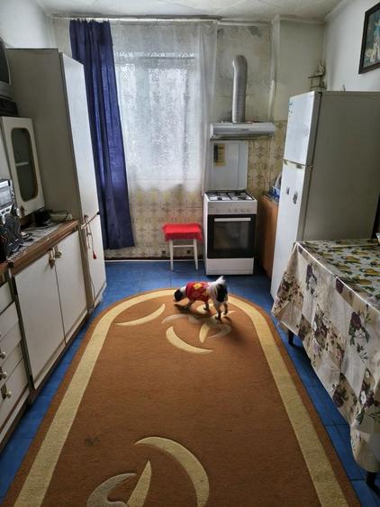 Vand apart in Uricani - 1