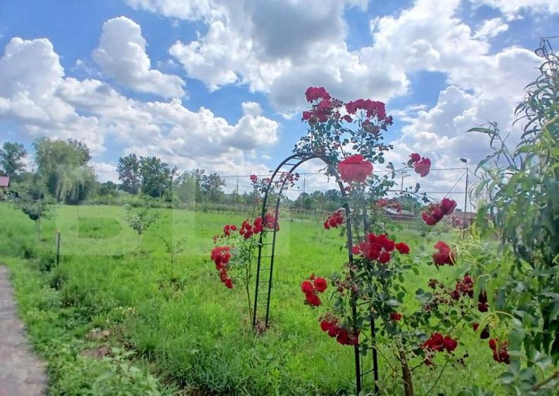 Casa superba in Tinca, 225 mp, 20 ari luciu de apa, teren fo - 1
