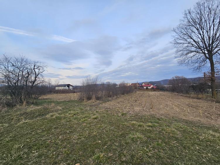 Teren de Vanzare in Curtea de Arges (2645 mp) Ideal Parcelare - 1