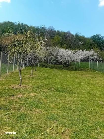 Teren intravilan curte - 1