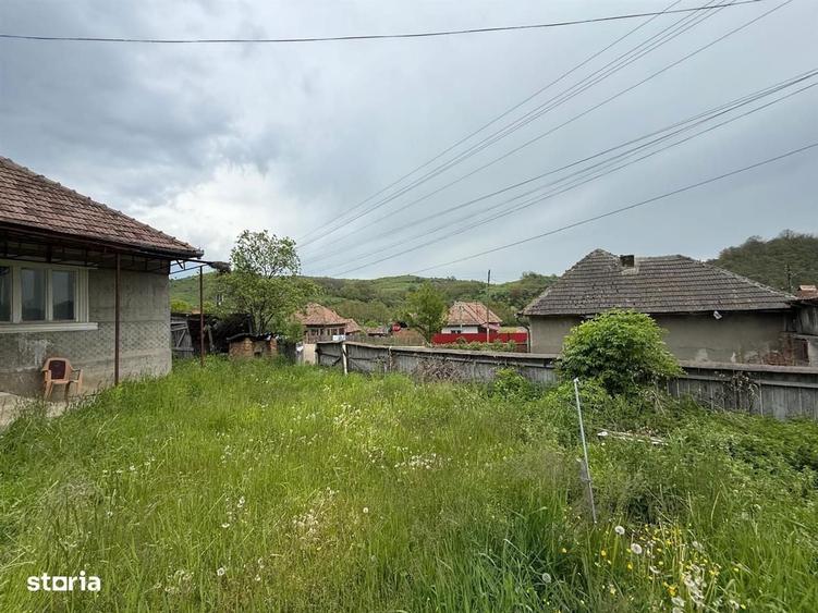 Casa la tara l teren 6600 MP l Aschileu Mare - 5