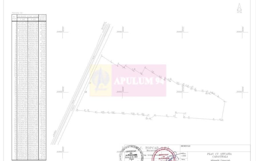 Teren 40ha Adunatii Copăceni | Industrial/ Logistic - 3