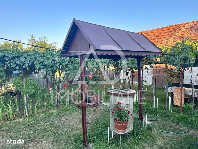 Casa de vanzare in Urechesti - 11