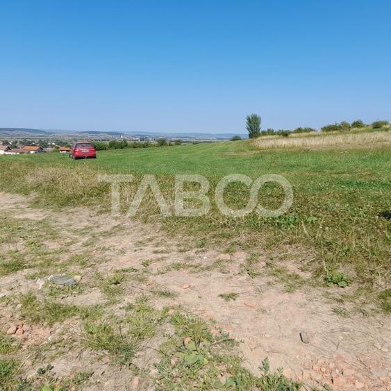 Teren 2400 mp cu deschidere 18 m in Orlat oportunitate investitii - 8