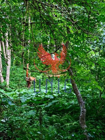 18000 mp de natura pura ,Lupeni, langa Straja - 2