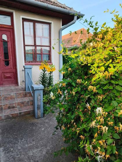 Casa primitoare in Turda Noua 733 mp Teren, Zona Linistita - 8